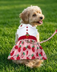 Doggie Design Strawberry Picnic Dog Dress, Medium slide 2 of 3