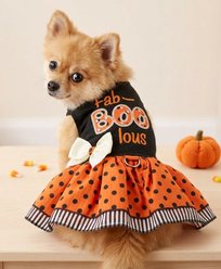 Doggie Design Fab-BOO-lous Halloween Dog Dress, Black, Large slide 2 of 4