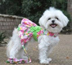 Doggie Design Pink Hawaiian Floral Dog Harness Dress, Medium slide 2 of 4