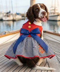 Doggie Design Sailor Girl Dress, Red, Large slide 2 of 4