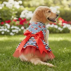 Doggie Design Cherry Stripe Dog Dress, Red, Medium slide 2 of 4