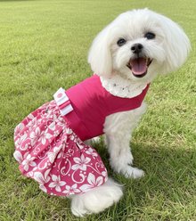 Doggie Design Pink Hibiscus Dog Dress, Medium slide 2 of 4