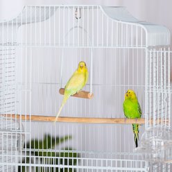 Prevue Pet Products Budgie Bird Cage & Stand Kit, Black slide 2 of 9