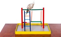 Prevue Pet Products Cockatiel Court Bird Playground, Yellow slide 2 of 3
