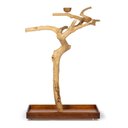 Prevue Pet Products Coffeawood Tree Style #2 Floor Bird Playstand, Brown, Large