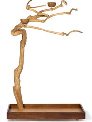 Prevue Pet Products Coffeawood Tree Style #2 Floor Bird Playstand, Brown, Medium