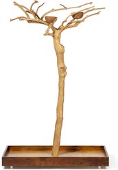Prevue Pet Products Coffeawood Tree Style #2 Floor Bird Playstand, Brown, Small