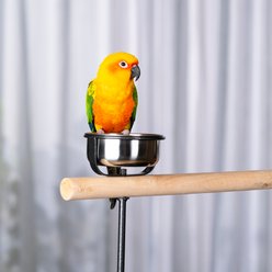 Prevue Pet Products Round Bird Playstand, Black, Large slide 2 of 7