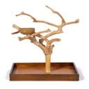 Prevue Pet Products Coffeawood Tree Mini Table Top Bird Playstand, Brown, Medium