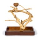 Prevue Pet Products Coffeawood Tree Mini Table Top Bird Playstand, Brown, Small