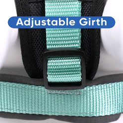 Pawtitas Personalized Reflective Dog Harness, Teal, X-Small: 15 to 18-in chest slide 2 of 8