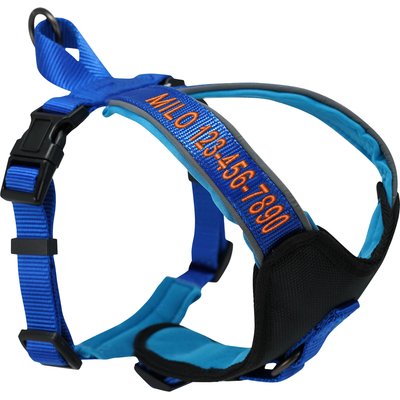 Pawtitas Pawtitas Personalized Reflective Dog Harness, Blue, X-Small: 15 to 18-in chest