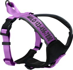 Pawtitas Personalized Reflective Dog Harness, Orchid, X-Small: 15 to 18-in chest