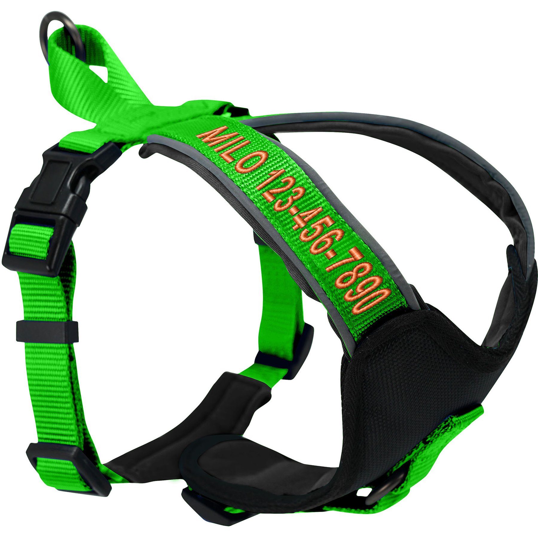 Pawtitas Personalized Reflective Dog Harness, Green, X-Small: 14 to 17-in chest