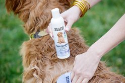 We Love Doodles Tearless Ocean Breeze Scent Puppy Shampoo, 8-fl oz bottle slide 2 of 7