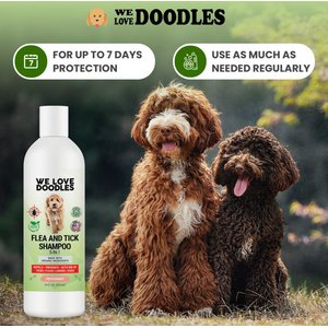 We Love Doodles 5-in-1 Flea & Tick Peppermint Dog Shampoo, 16-fl oz bottle