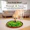 Show in main carousel: Potaroma Interactive Feed Game Stress Relief Snuffle Mat Toy for Dogs, Multicolor slide 3 of 7