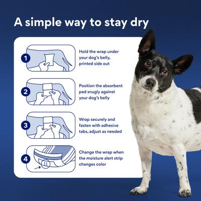 Show full view: Chewy Made Disposable Male Dog Wraps (FORMERLY FRISCO), Medium: 17 to 22-in waist, 50 count slide 8 of 10