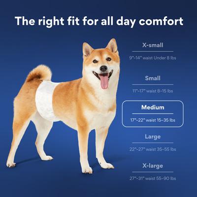 Show full view: Chewy Made Disposable Male Dog Wraps (FORMERLY FRISCO), Medium: 17 to 22-in waist, 50 count slide 7 of 10