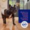 Show in main carousel: Chewy Made Disposable Male Dog Wraps (FORMERLY FRISCO), Medium: 17 to 22-in waist, 50 count slide 6 of 10