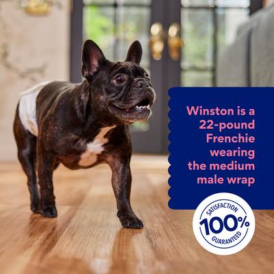 Show full view: Chewy Made Disposable Male Dog Wraps (FORMERLY FRISCO), Medium: 17 to 22-in waist, 50 count slide 6 of 10