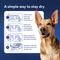 Show in main carousel: Chewy Made Disposable Male Dog Wraps (FORMERLY FRISCO), Large: 22 to 27-in waist, 30 count slide 8 of 10
