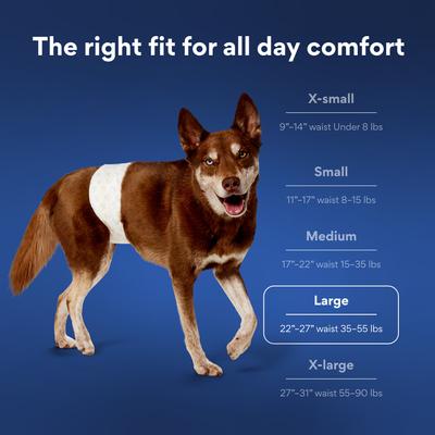 Show full view: Chewy Made Disposable Male Dog Wraps (FORMERLY FRISCO), Large: 22 to 27-in waist, 30 count slide 7 of 10