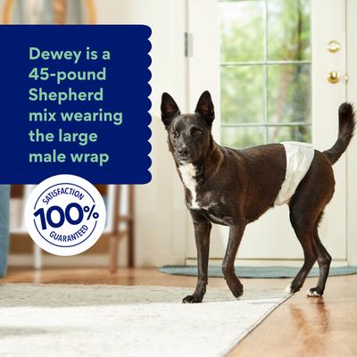 Show full view: Chewy Made Disposable Male Dog Wraps (FORMERLY FRISCO), Large: 22 to 27-in waist, 30 count slide 6 of 10