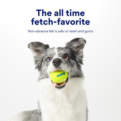 Show full view: Chewy Made Fetch Squeaky Yellow Tennis Ball Dog Toy, Medium, 20 count slide 6 of 9