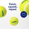 Show in main carousel: Chewy Made Fetch Squeaky Yellow Tennis Ball Dog Toy, Medium, 20 count slide 4 of 9
