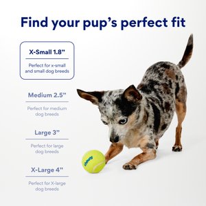 Chewy Made Fetch Squeaky Yellow Tennis Ball Dog Toy, X-Small/Small, 3 count