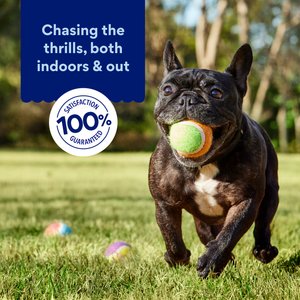Chewy Made Colorful Fetch Squeaky Tennis Ball Dog Toy, Medium, 3 count