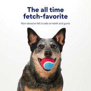 Chewy Made Colorful Fetch Squeaky Tennis Ball Dog Toy, Medium, 3 count
