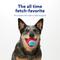Show in main carousel: Chewy Made Colorful Fetch Squeaky Tennis Ball Dog Toy, Medium, 3 count slide 6 of 8