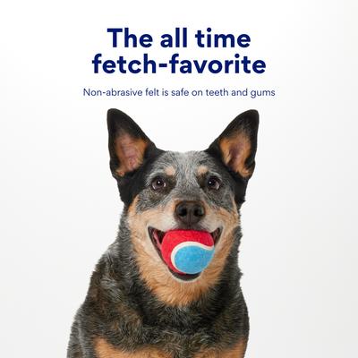 Show full view: Chewy Made Colorful Fetch Squeaky Tennis Ball Dog Toy, Medium, 3 count slide 6 of 8