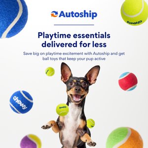 Chewy Made Colorful Fetch Squeaky Tennis Ball Dog Toy, Medium, 3 count