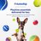 Show in main carousel: Chewy Made Colorful Fetch Squeaky Tennis Ball Dog Toy, Medium, 3 count slide 7 of 8