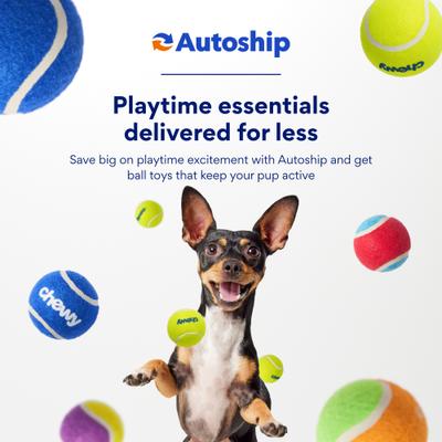 Show full view: Chewy Made Colorful Fetch Squeaky Tennis Ball Dog Toy, Medium, 3 count slide 7 of 8