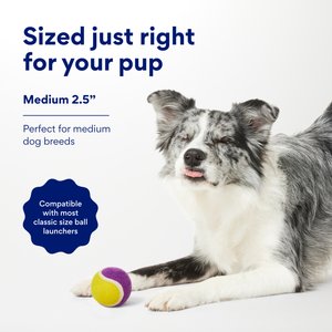 Chewy Made Colorful Fetch Squeaky Tennis Ball Dog Toy, Medium, 3 count