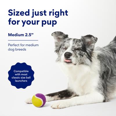 Show full view: Chewy Made Colorful Fetch Squeaky Tennis Ball Dog Toy, Medium, 3 count slide 3 of 8