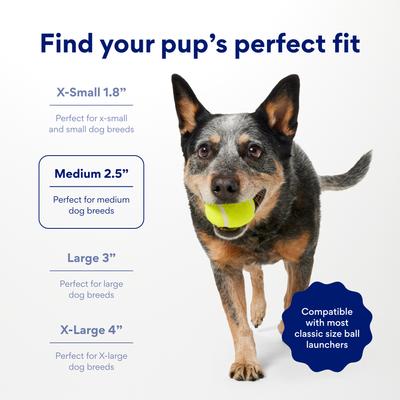 Show full view: Chewy Made Fetch Squeaky Yellow Tennis Ball Dog Toy, Medium, 20 count slide 3 of 9