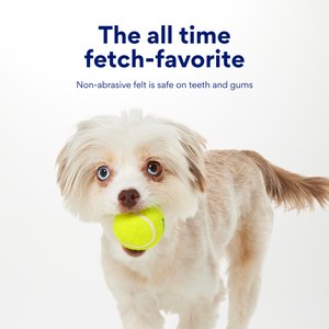 Chewy Made Fetch Squeaky Yellow Tennis Ball Dog Toy, X-Small/Small, 3 count
