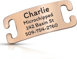 GoTags Personalized Polished Stainless Steel Nameplate Slide-On Dog ID Tag, Peach, X-Small