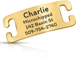 GoTags Personalized Polished Stainless Steel Nameplate Slide-On Dog ID Tag, Golden, X-Small