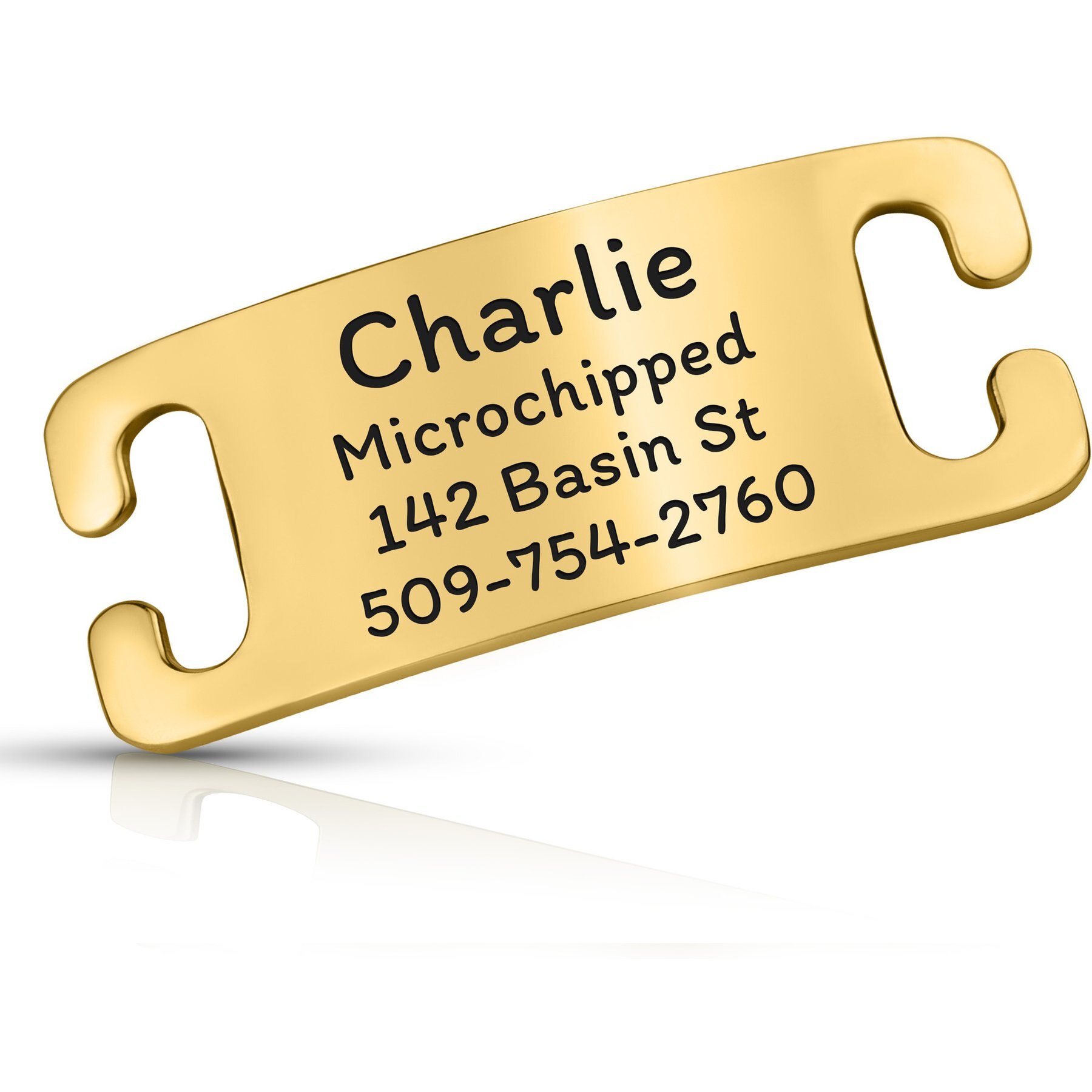 GoTags Personalized Polished Stainless Steel Nameplate Slide-On Dog ID Tag, Golden, X-Small