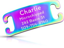 GoTags Personalized Nameplate Slide-On Pet ID Tag, Polished Stainless Steel, Multicolor, X-Small