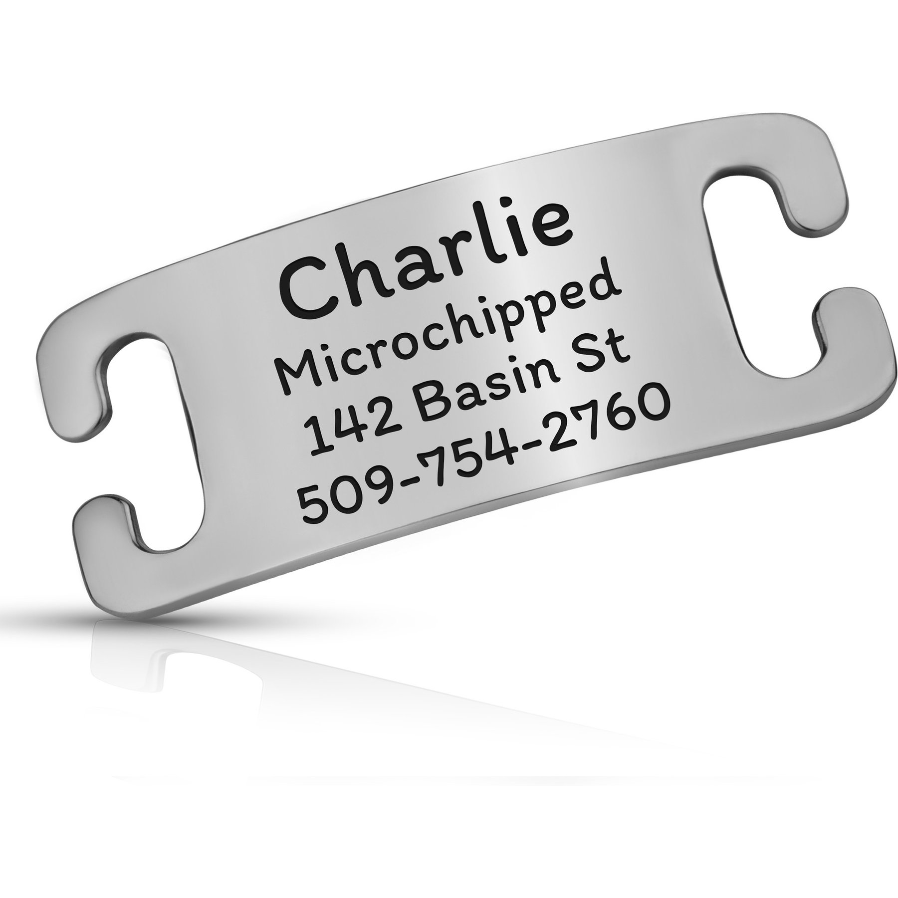 GoTags Personalized Polished Stainless Steel Nameplate Slide-On Dog ID Tag, Platinum, X-Small