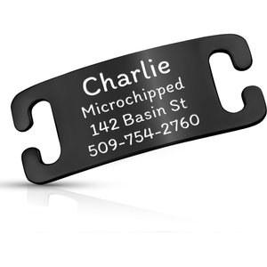 GOTAGS Personalized Polished Stainless Steel Nameplate Slide-On
