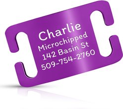 GoTags Personalized Polished Stainless Steel Nameplate Slide-On Dog ID Tag, Violet, Medium