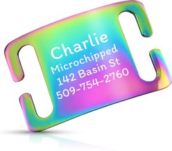 GoTags Personalized Polished Stainless Steel Nameplate Slide-On Dog ID Tag, Multicolor, Large
